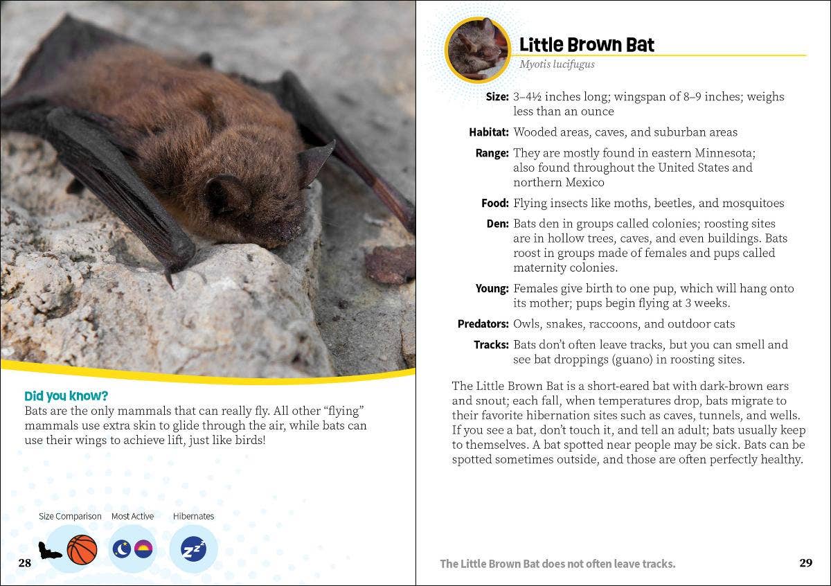 Critters of Minnesota Pocket Guide