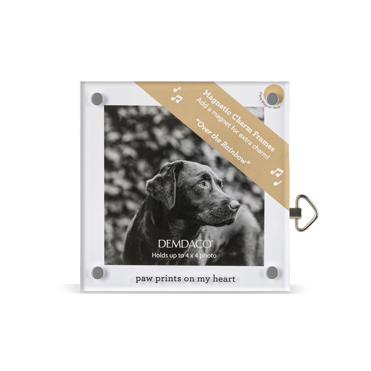 Paw Prints Acrylic Magnetic Musical Frame