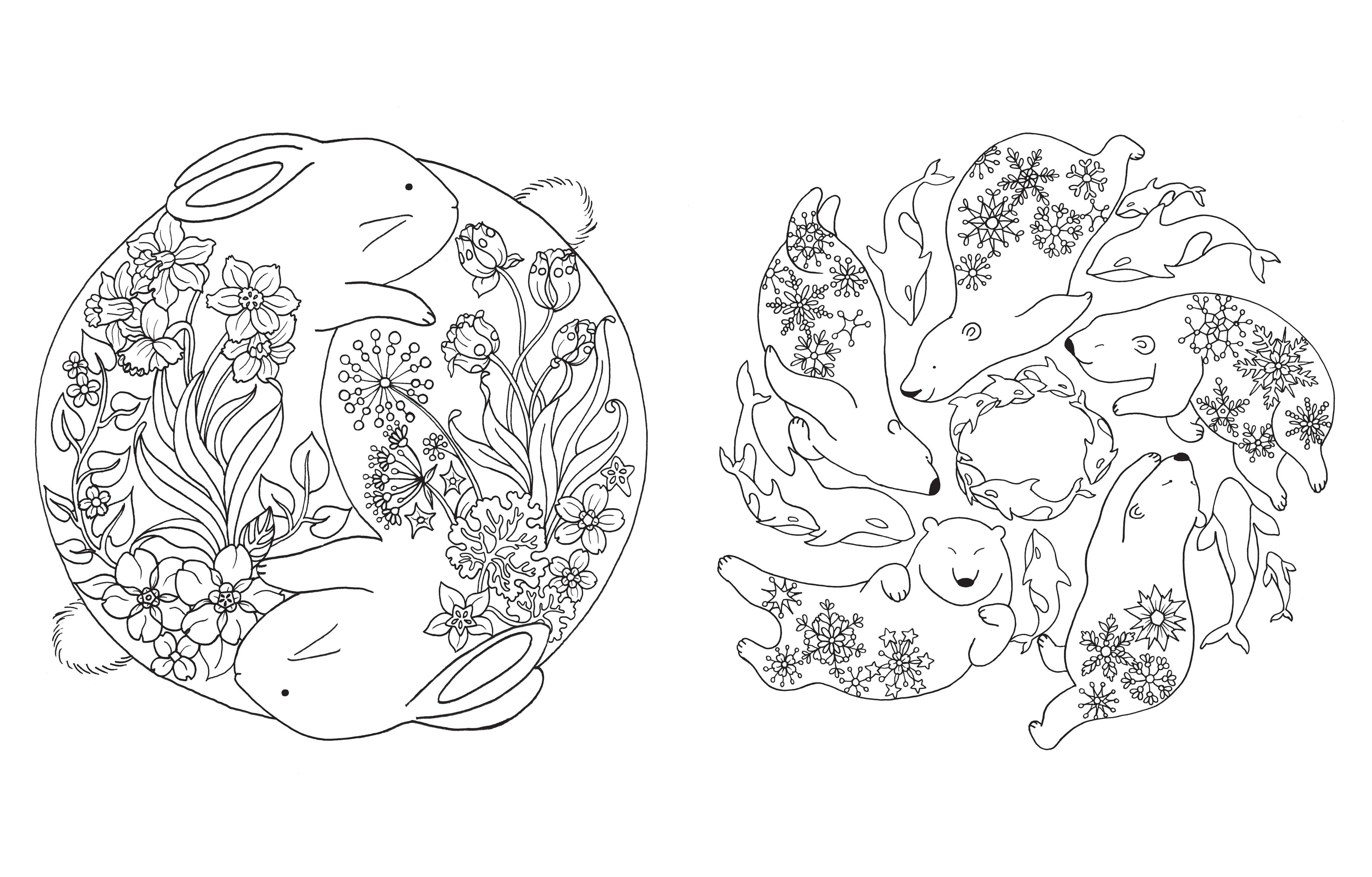 Inside coloring page from A Million Cute Animals Coloring Book by Lulu Mayo featuring adorable illustrated woodland animals, birds, rabbits, foxes, and flowers.
