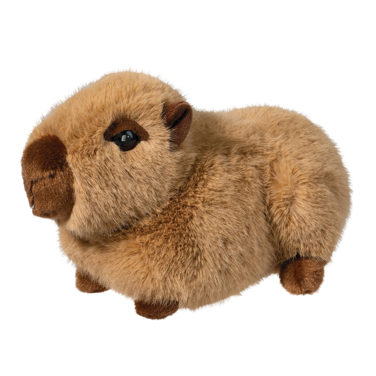 Chattie Capybara Plush Toy