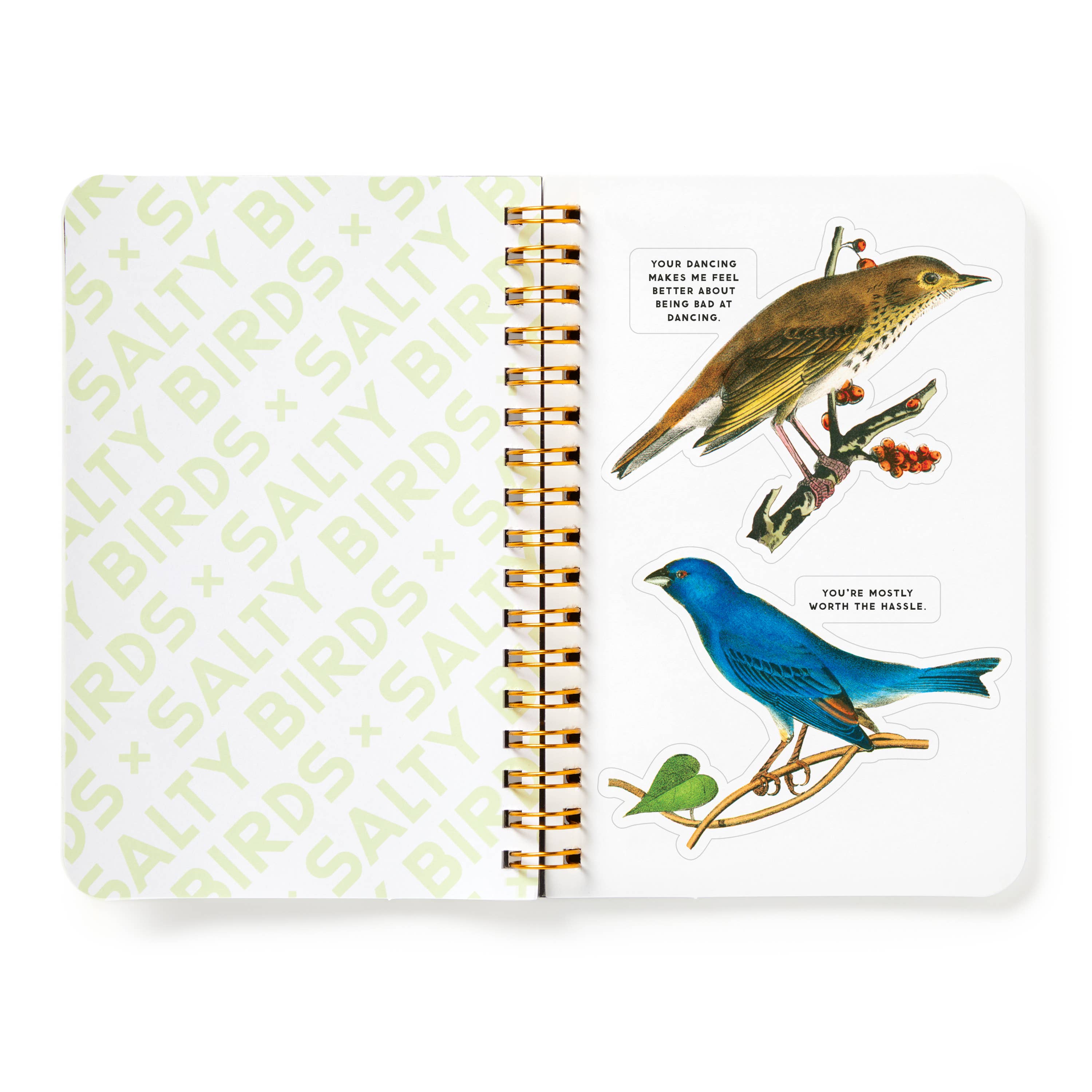 Brass Monkey Salty Birds Sticker Book | Vintage Bird Stickers