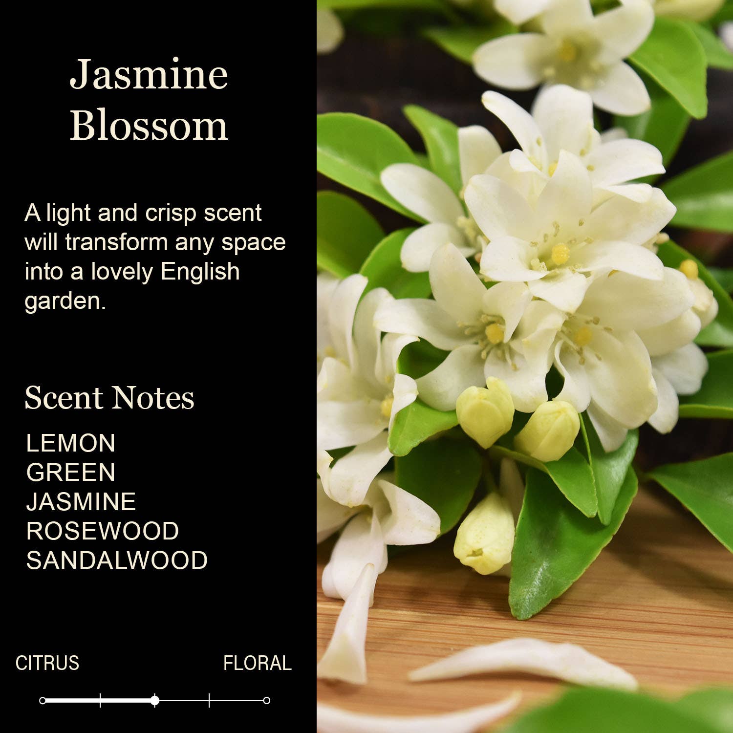 Best Nurse Ever Luxury Soy Candle | Nurse Gift