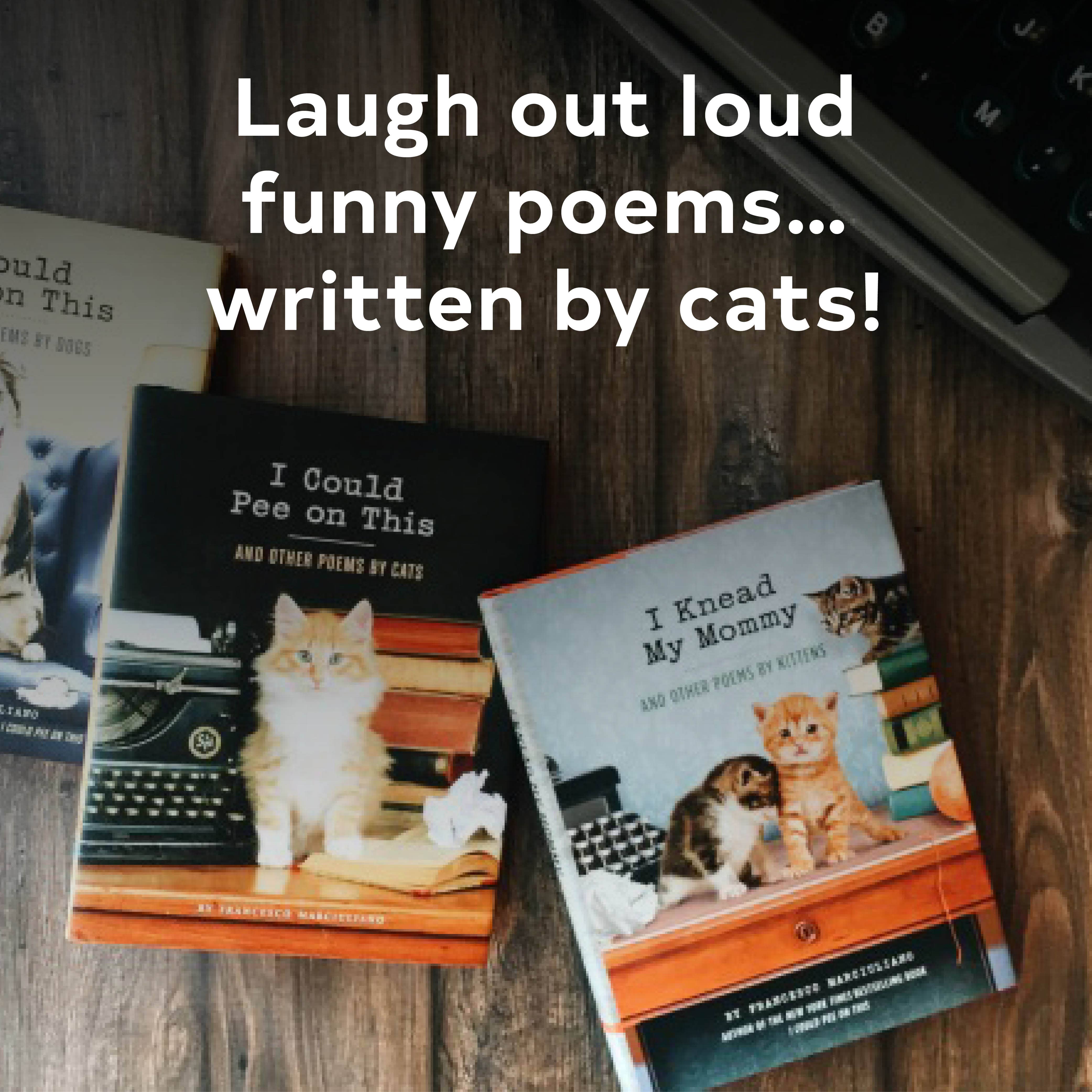 I Could Pee on This Poems by Cats