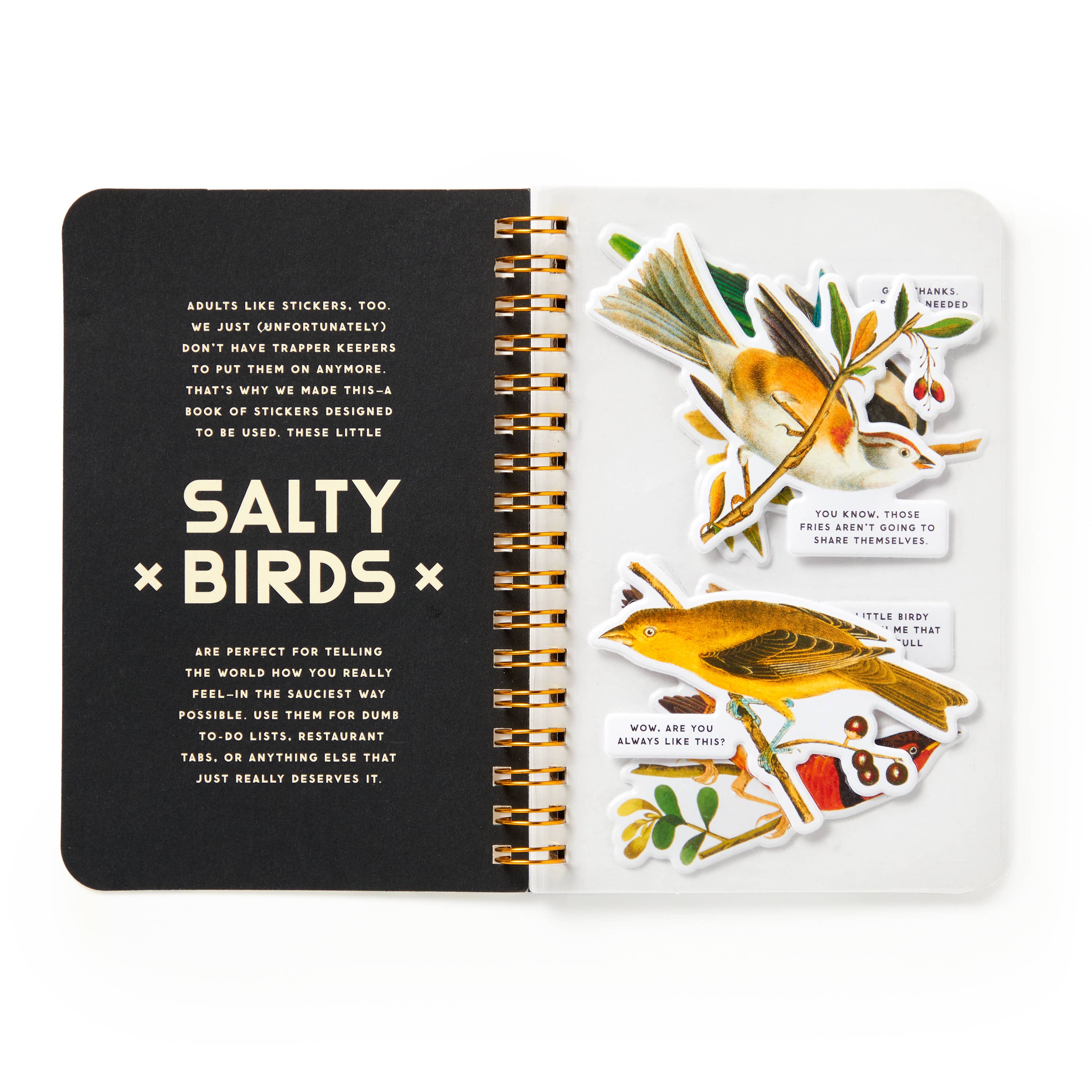 Brass Monkey Salty Birds Sticker Book | Vintage Bird Stickers
