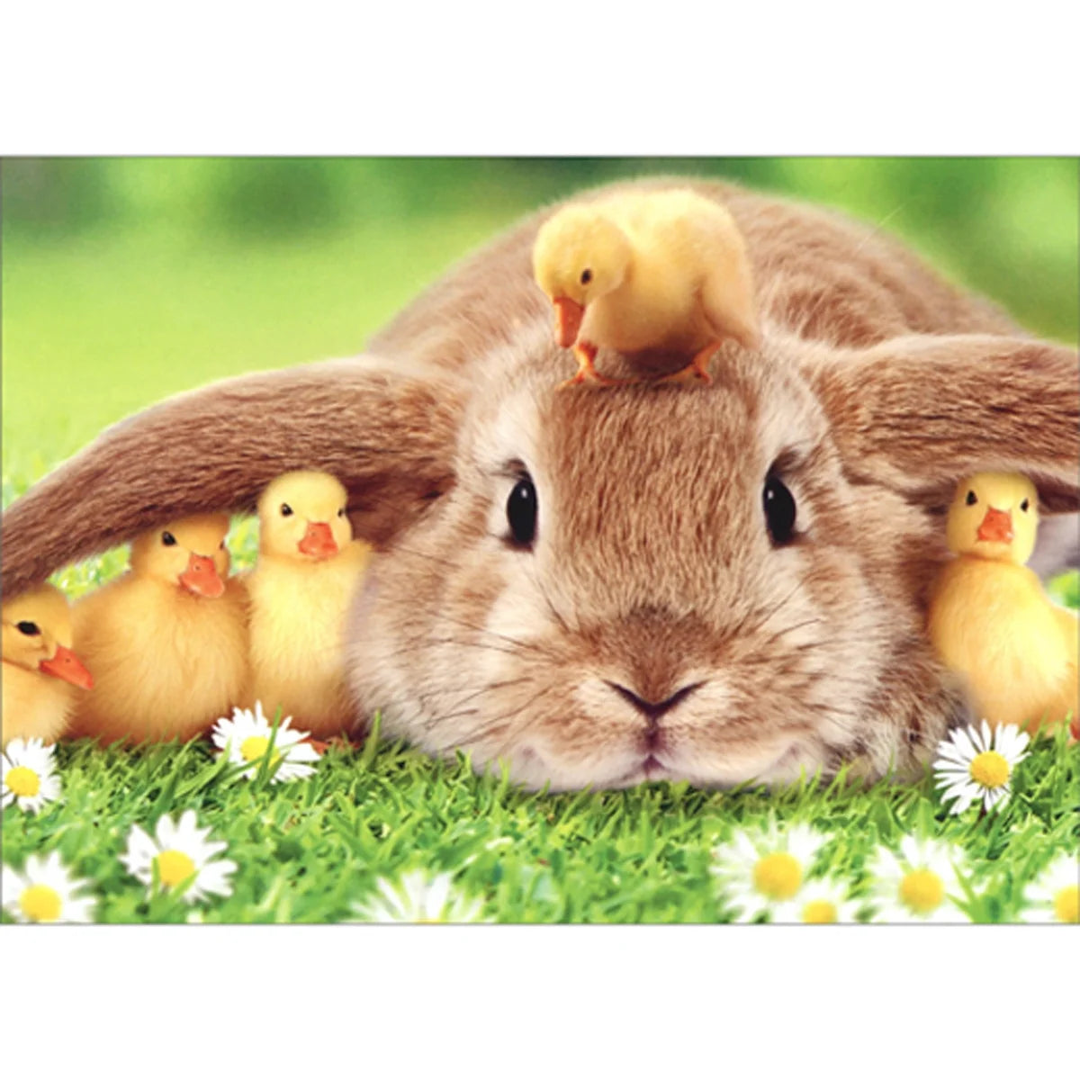 Bunny & Duckling Easter Card
