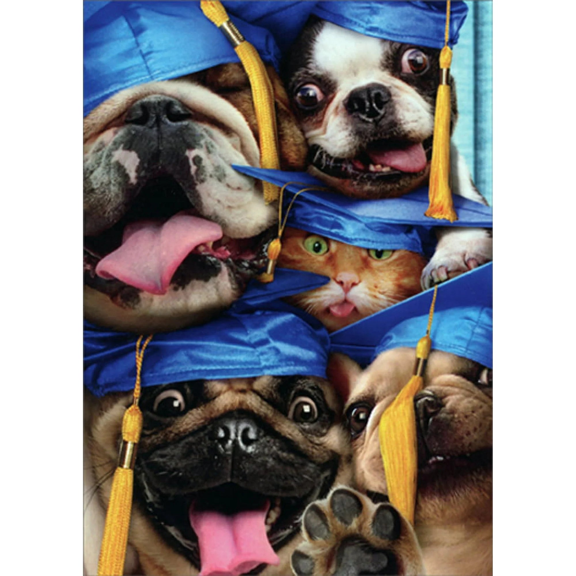 Dog & Cat Grads Graduation Card