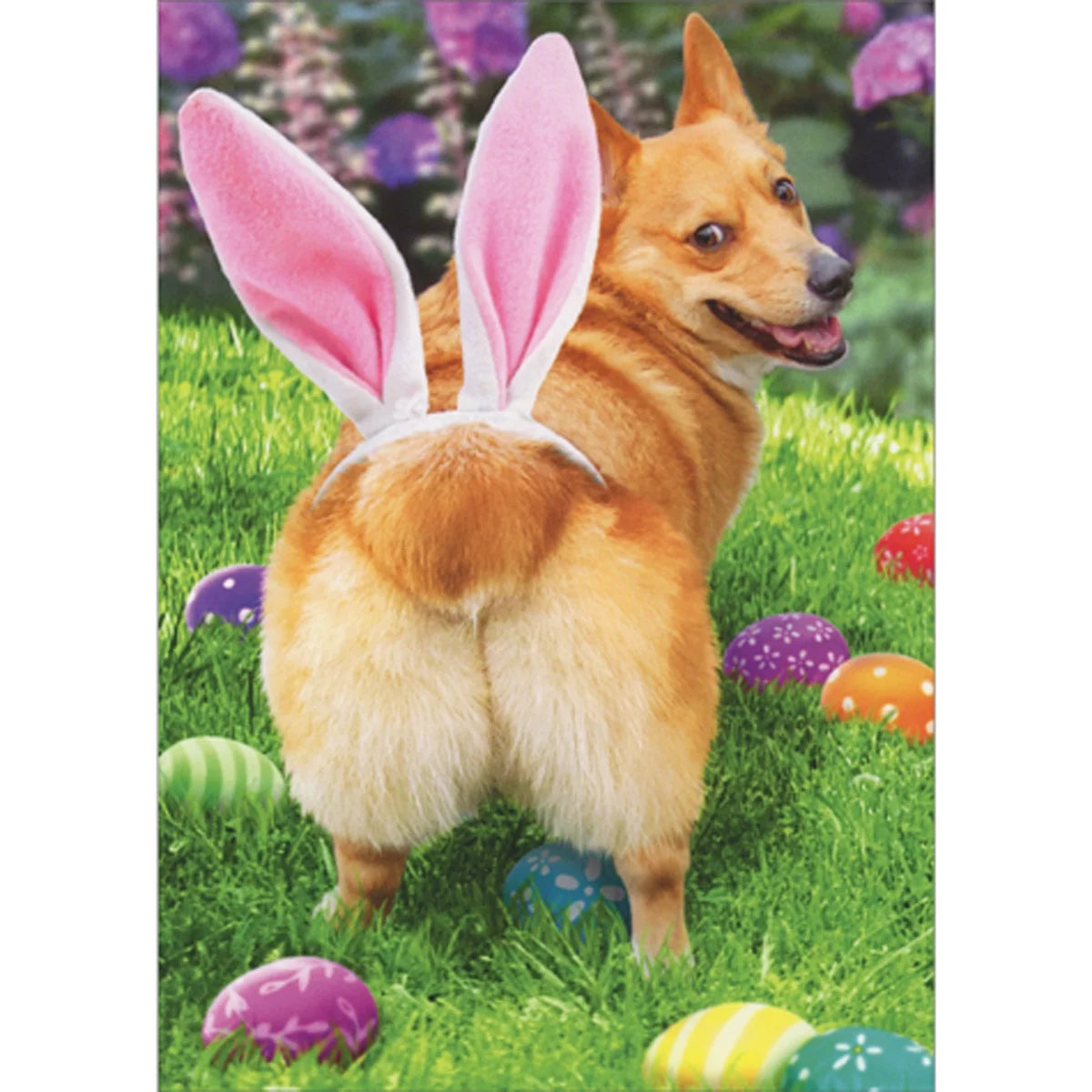 Dog Butt Bunny Ears Easter Card