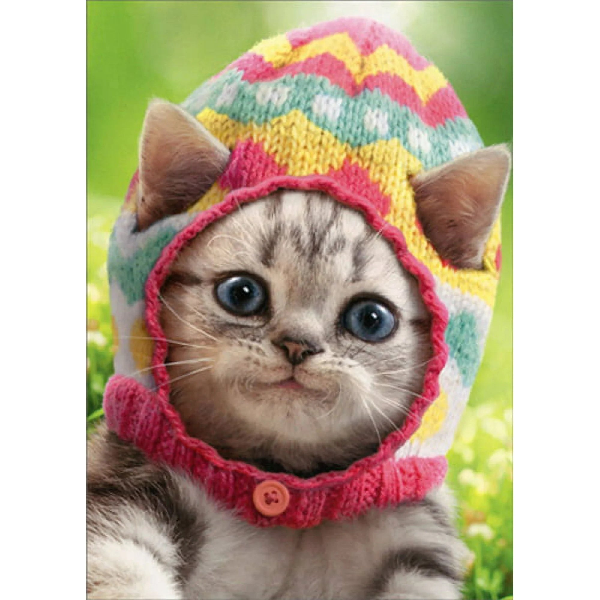 Kitten Wearing Egg Cap Easter Card