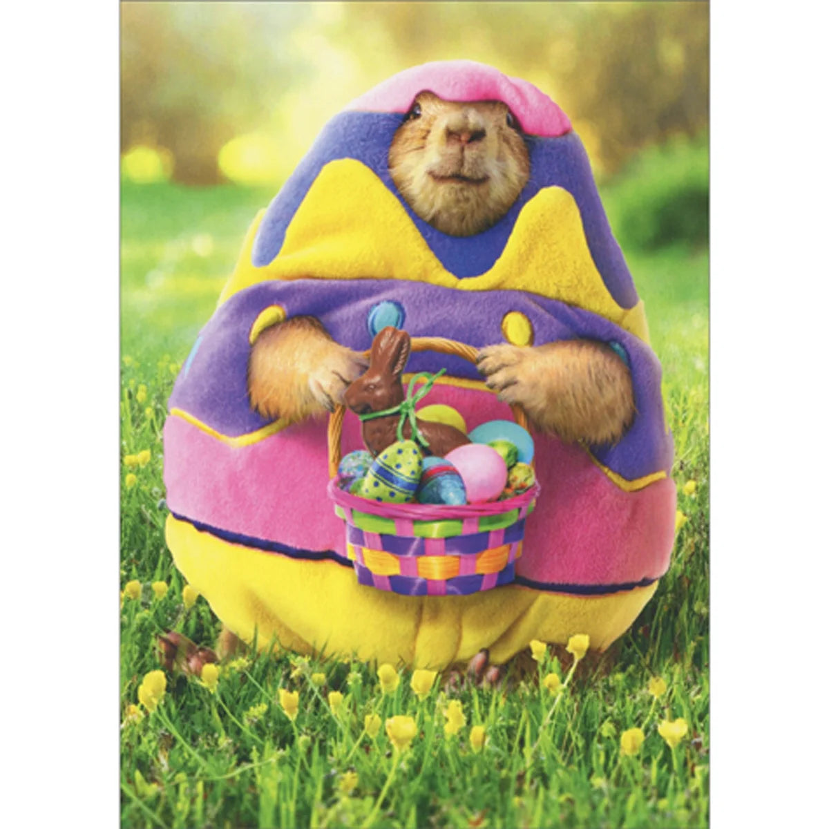 Prairie Dog in Easter Egg Greeting Card