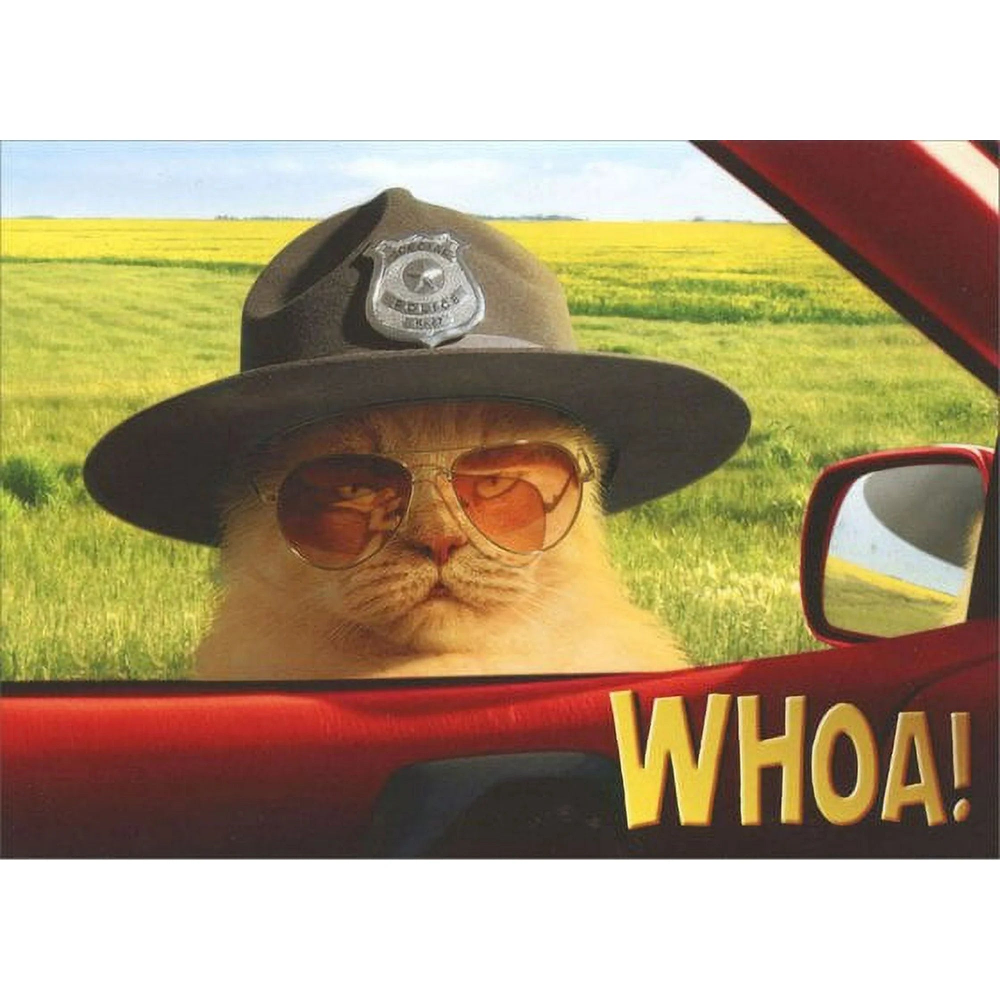 Trooper Cat Birthday Card