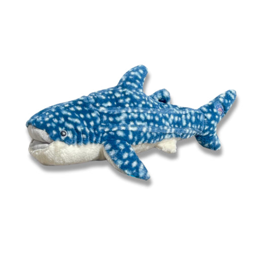 Fahlo- Whale Shark Track a Shark