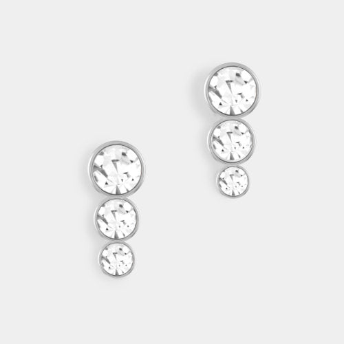 Silver Dazzling Stud Earrings