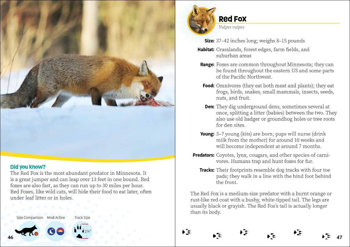 Critters of Minnesota Pocket Guide