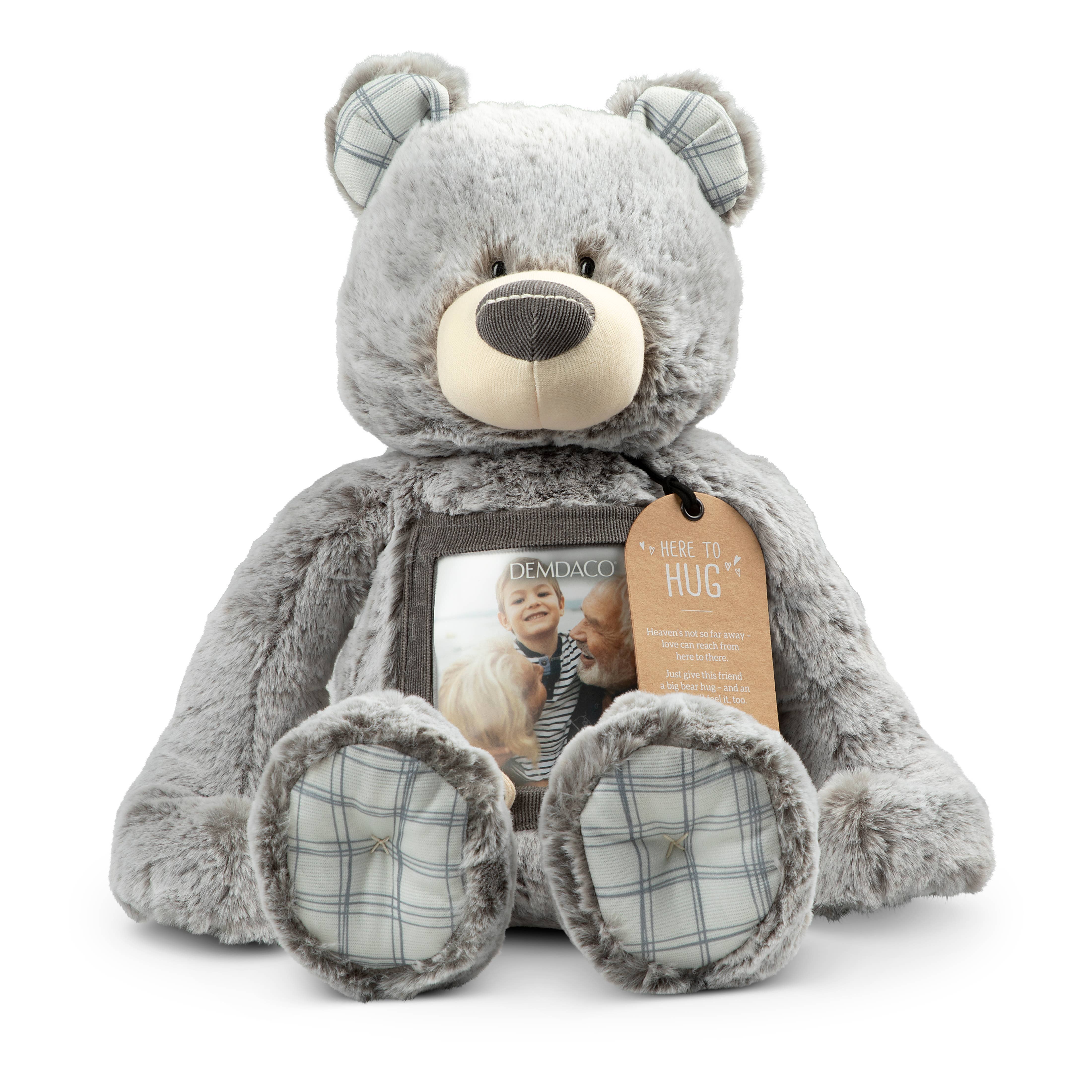 Here to Hug Bear Remembrance Plush | Photo Insert Grief Gift for Kids