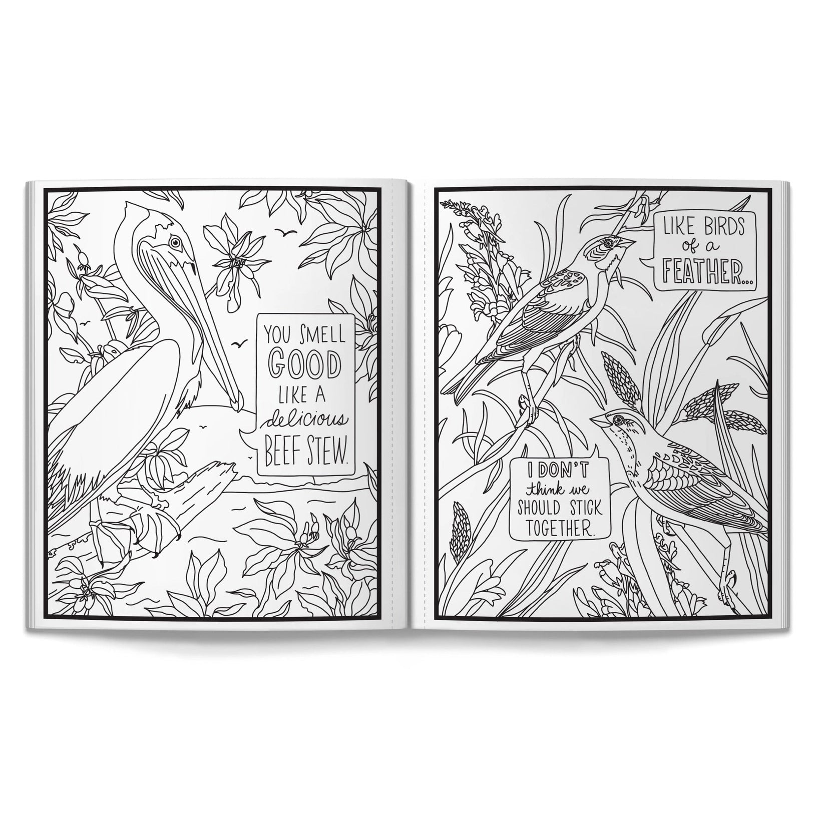 Salty Birds Coloring Book | Funny Adult Coloring Book