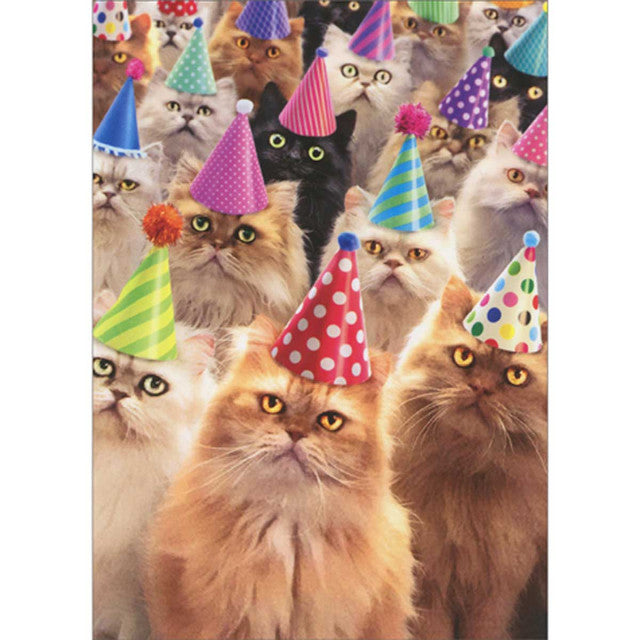 Cat Party Birthday Card