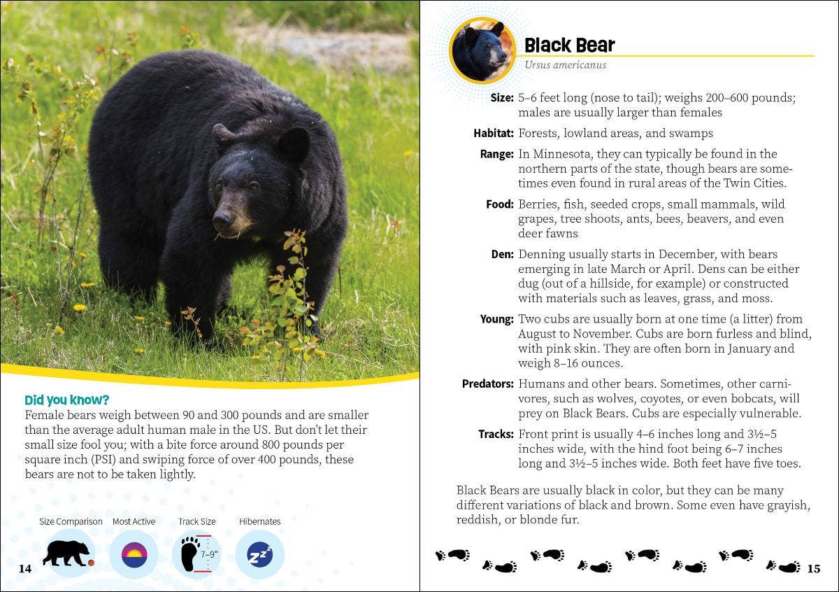 Critters of Minnesota Pocket Guide