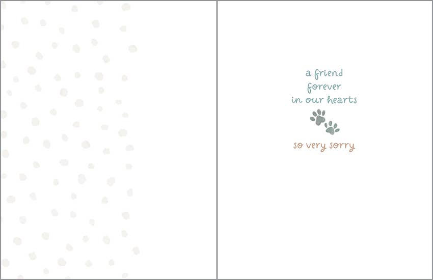 Pet Sympathy Greeting Card - Rainbow Bridge
