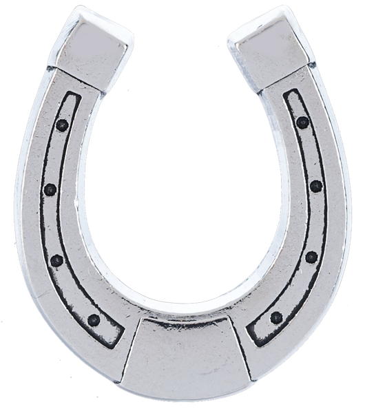 The Lucky Little Horseshoe Charm