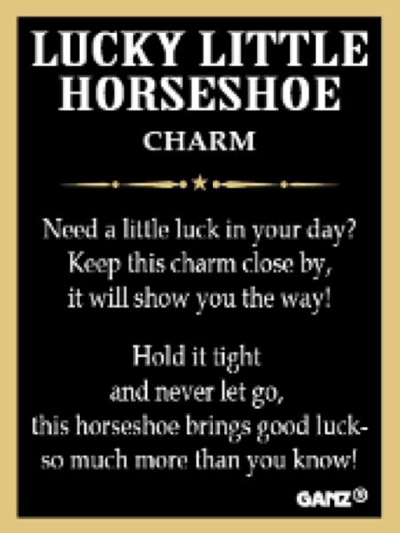 The Lucky Little Horseshoe Charm