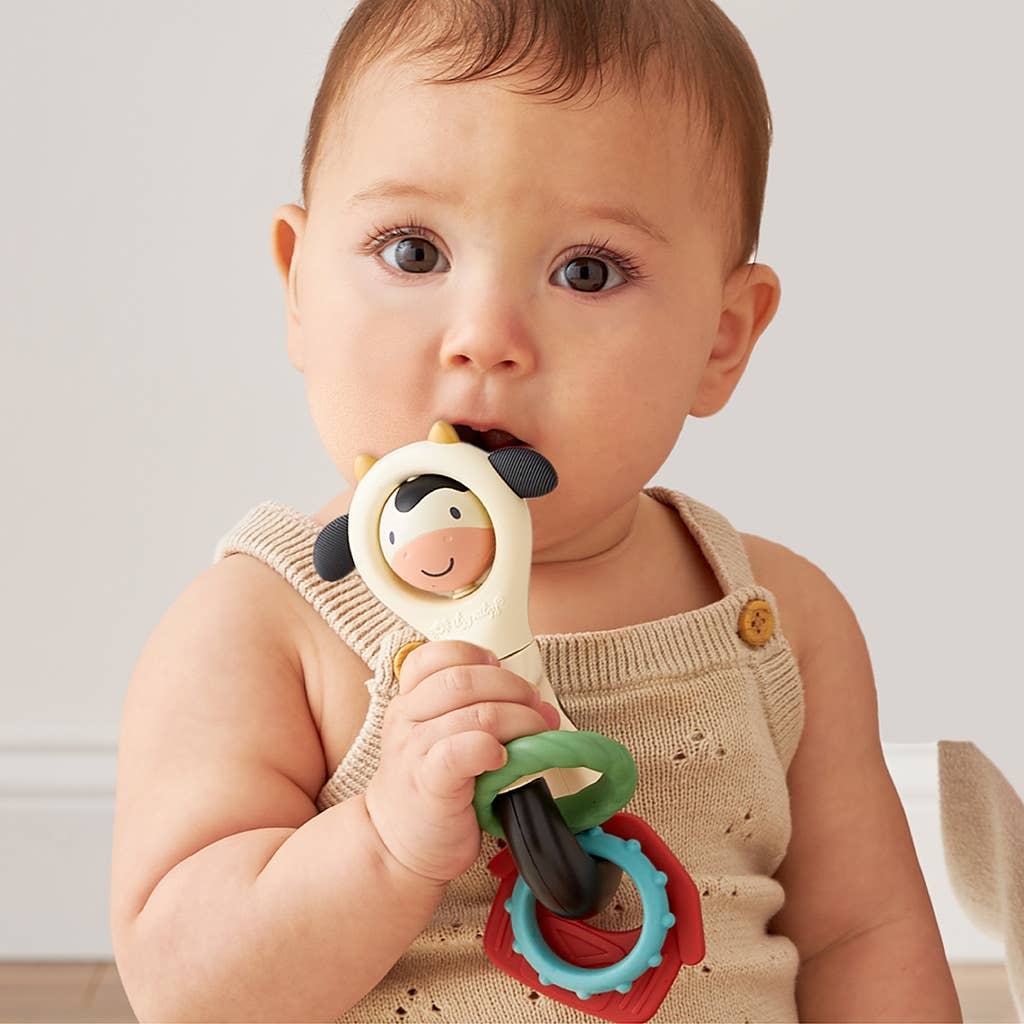 Itzy Spinner™ Sensory Teething Rattle