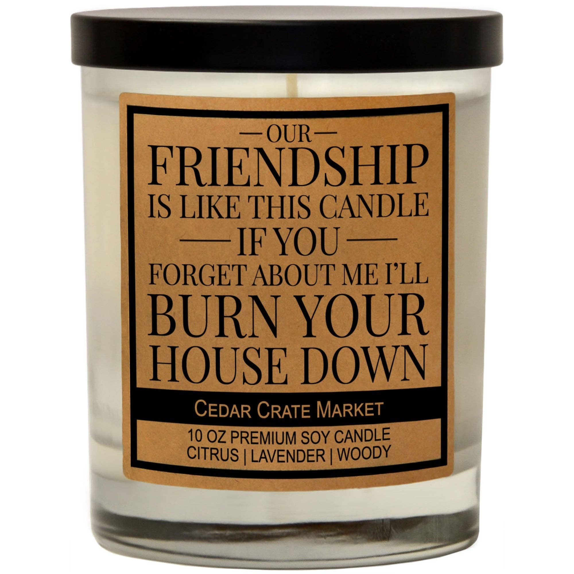 Our Friendship Is Like This Candle by Cedar Crate Market — a 13.5 oz citrus, lavender, and woody soy candle with 60+ hour burn time, hand poured in Minnetonka, MN