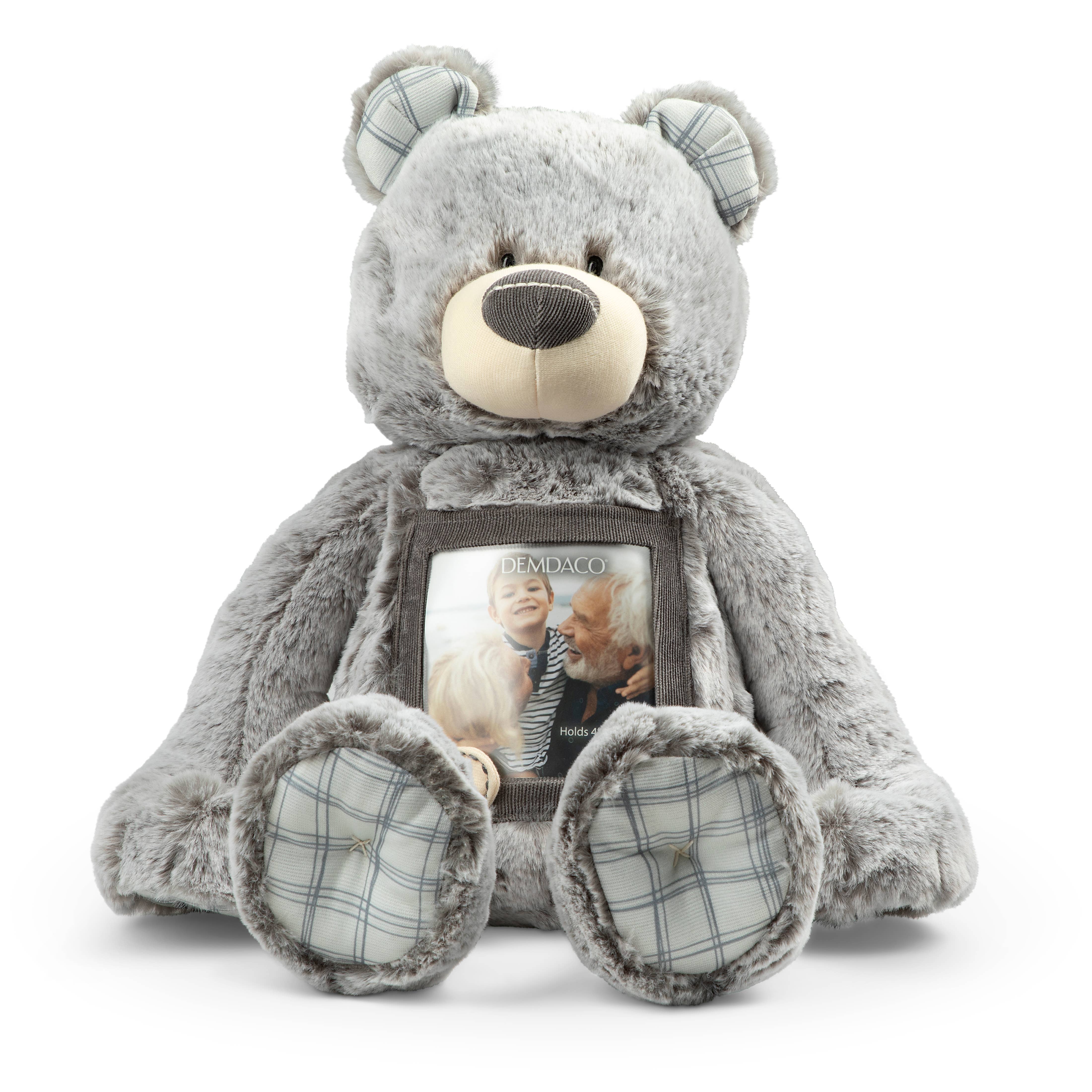 Here to Hug Bear Remembrance soft plush bear with photo insert pocket by DEMDACO — a comforting sympathy and grief gift for children experiencing loss