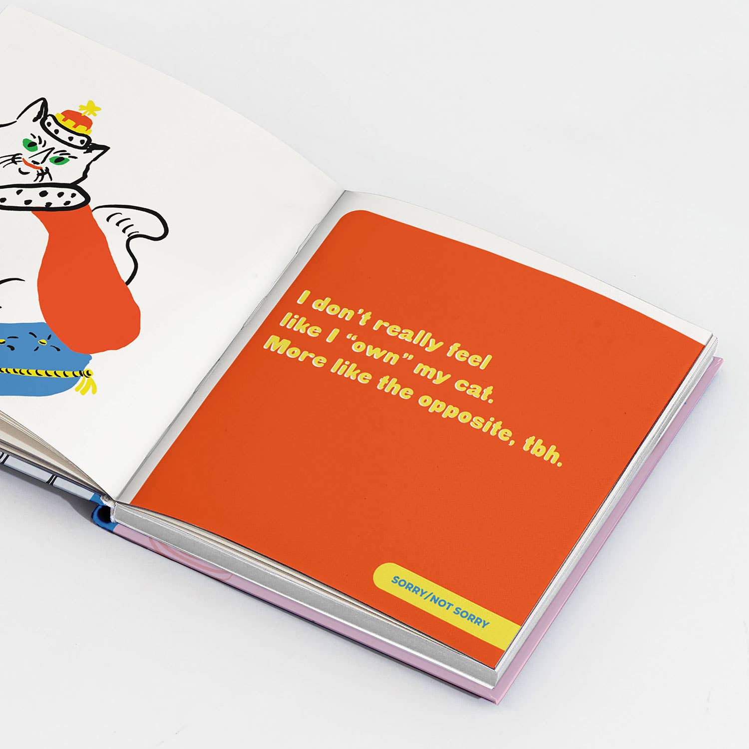 Inside of Hardcover "I'm a Cat Lady, Sorry Not Sorry" humor book featuring a funny illustrated cat and celebrating cat lovers.
