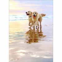 Greeting Card Golden Dogs On Beach