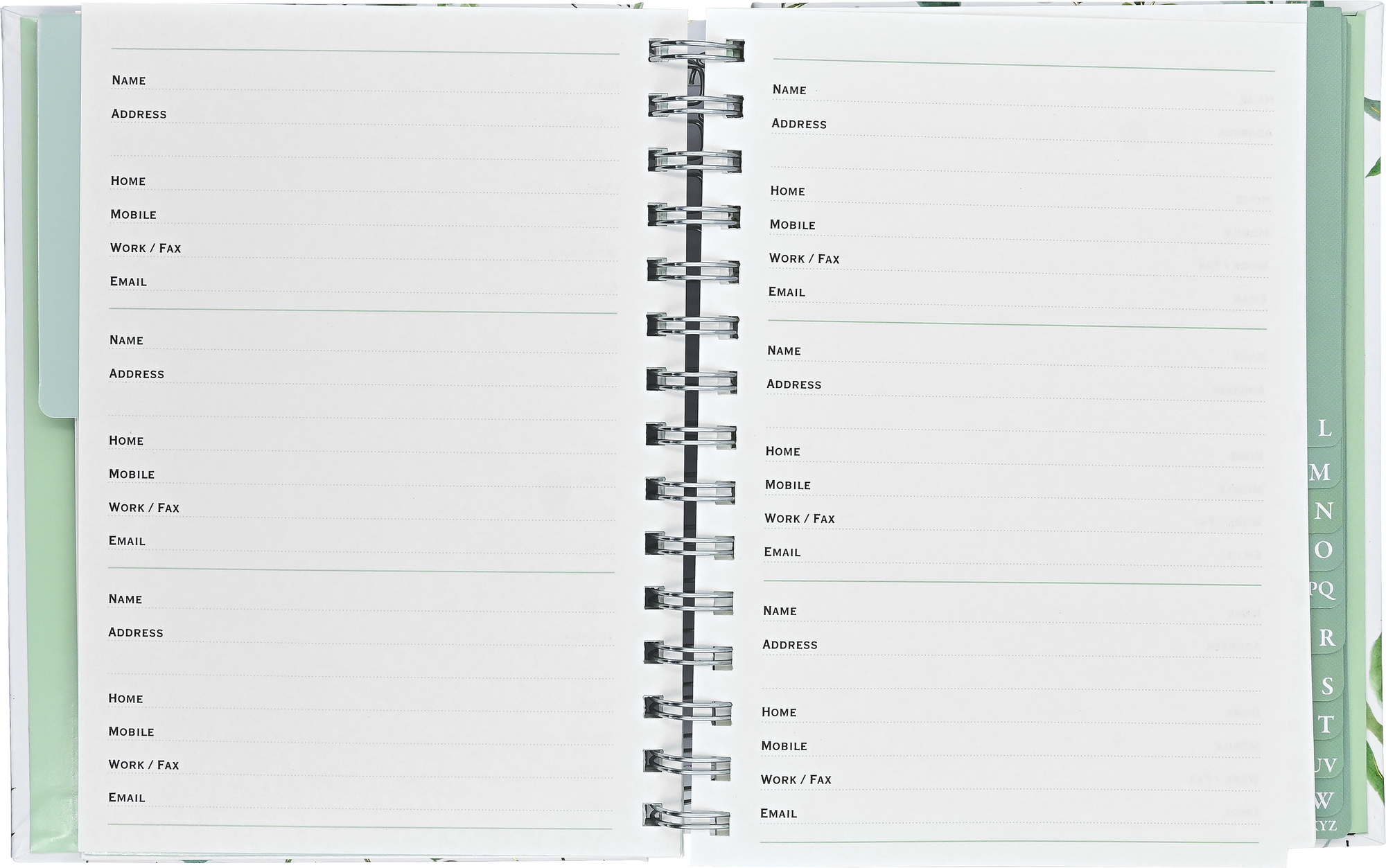 Eucalyptus Large Address Book