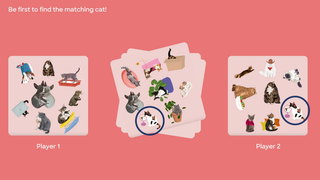 Cat Spotter Family Matching Card Game