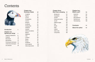 Birds in Watercolour: A Drawing & Painting Guide | Sofia Gazarian