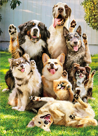 Birthday Greeting Card Dogs Waving