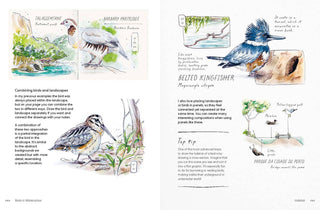 Birds in Watercolour: A Drawing & Painting Guide | Sofia Gazarian