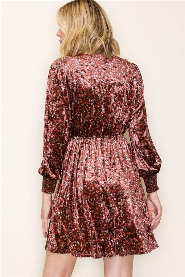Velvet Floral Print Dress