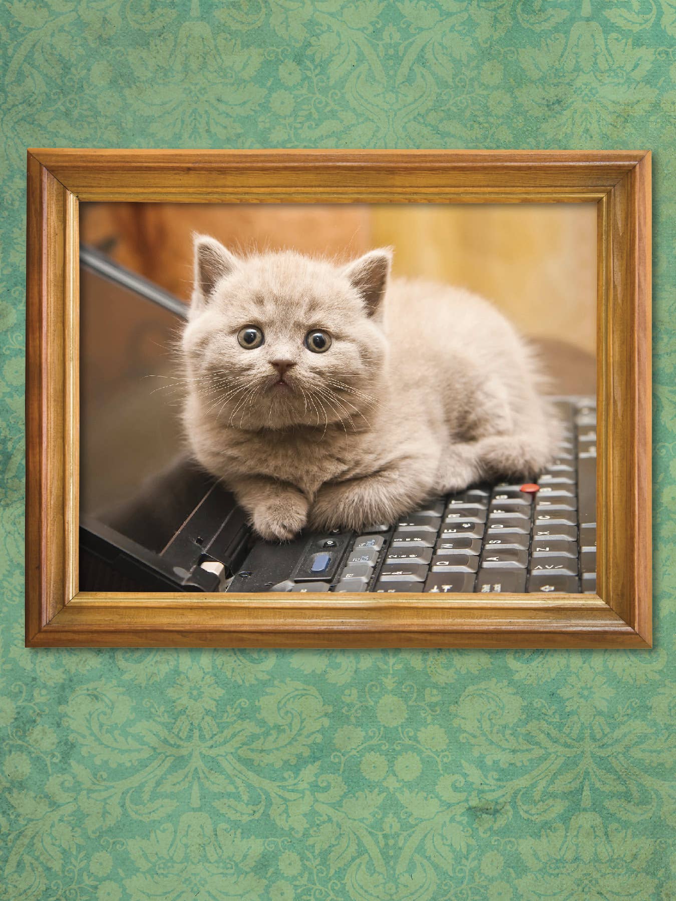 I Could Pee on This Poems by Cats