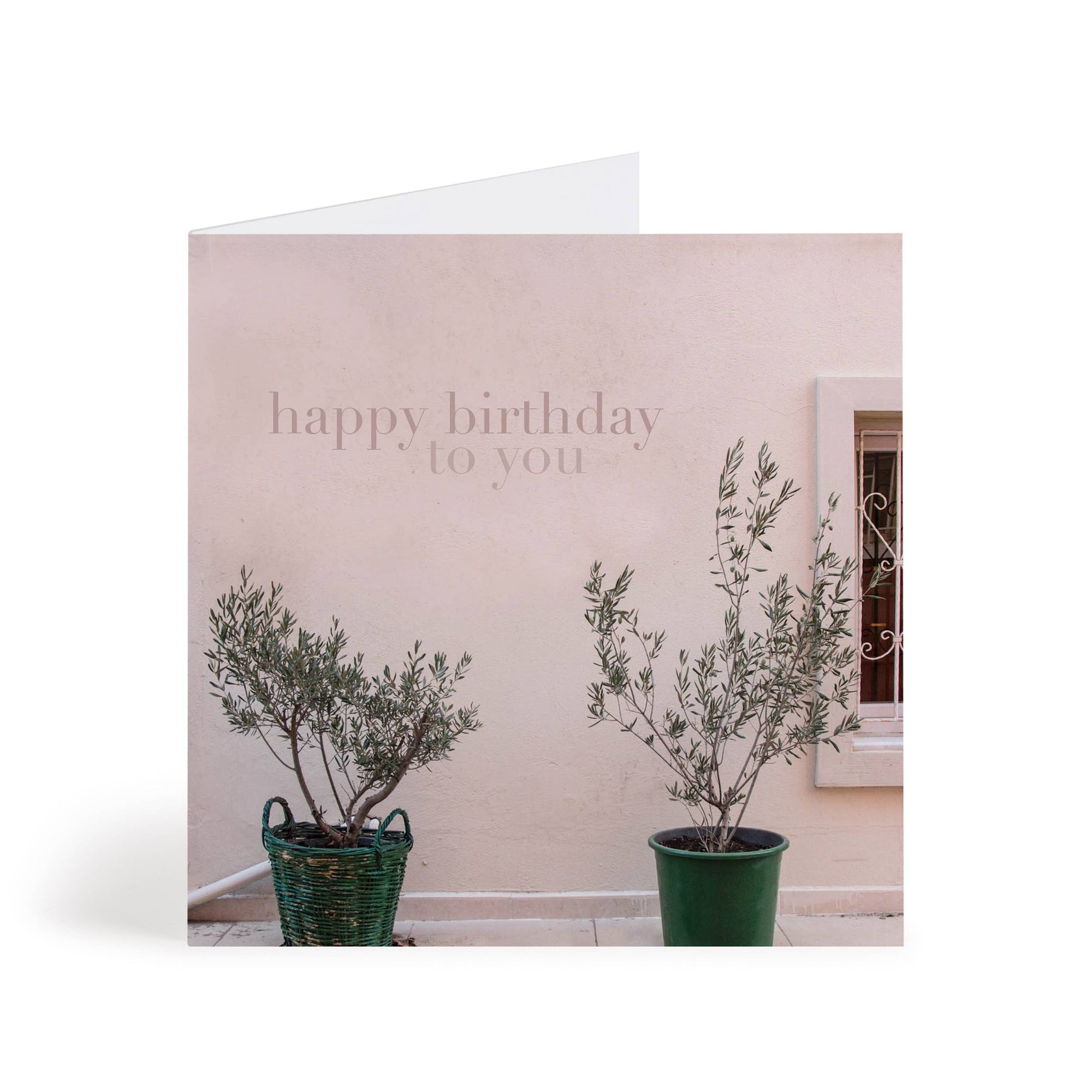 Olive Trees Birthday Card