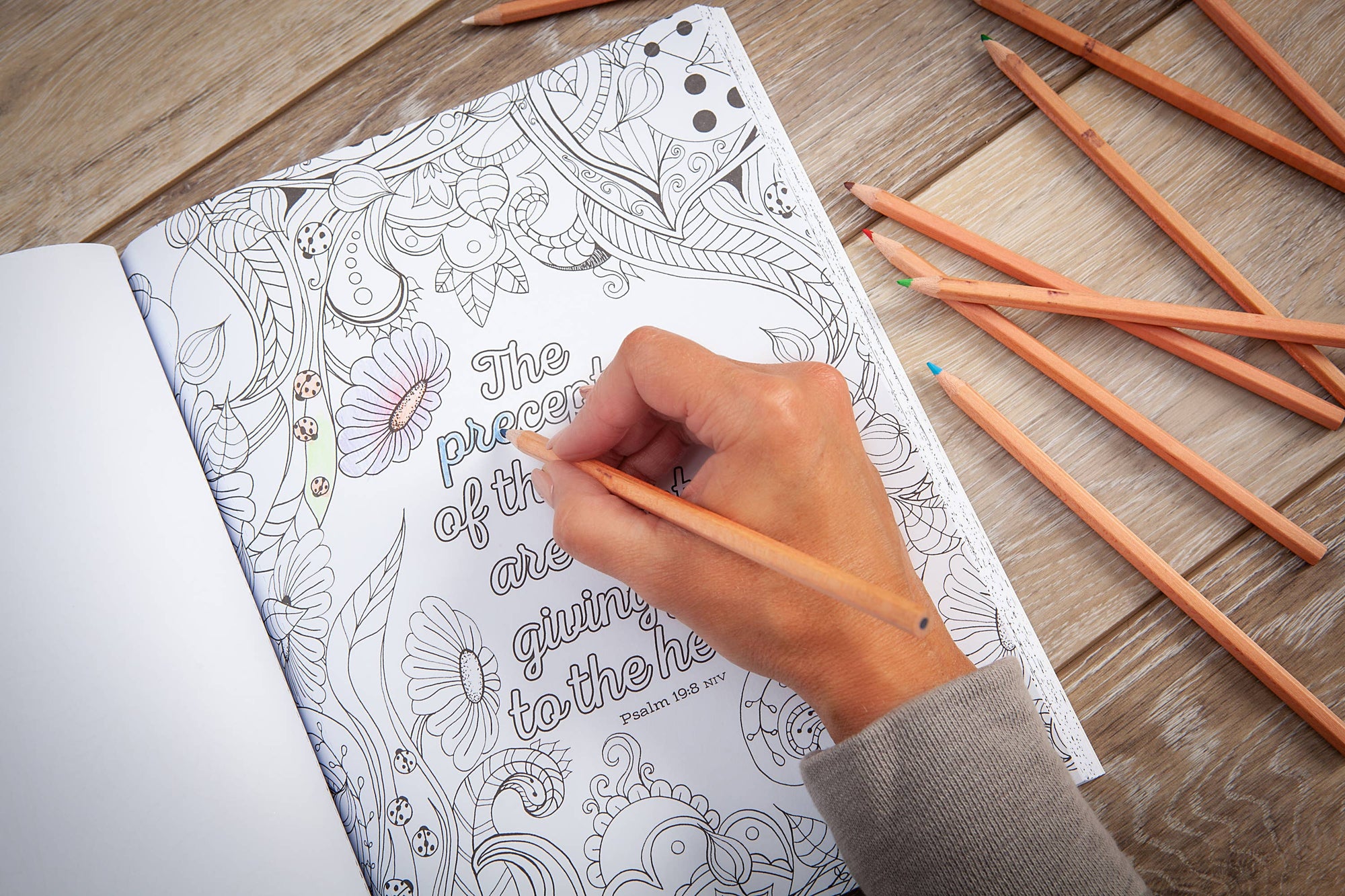 The Beloved Psalms Coloring Book