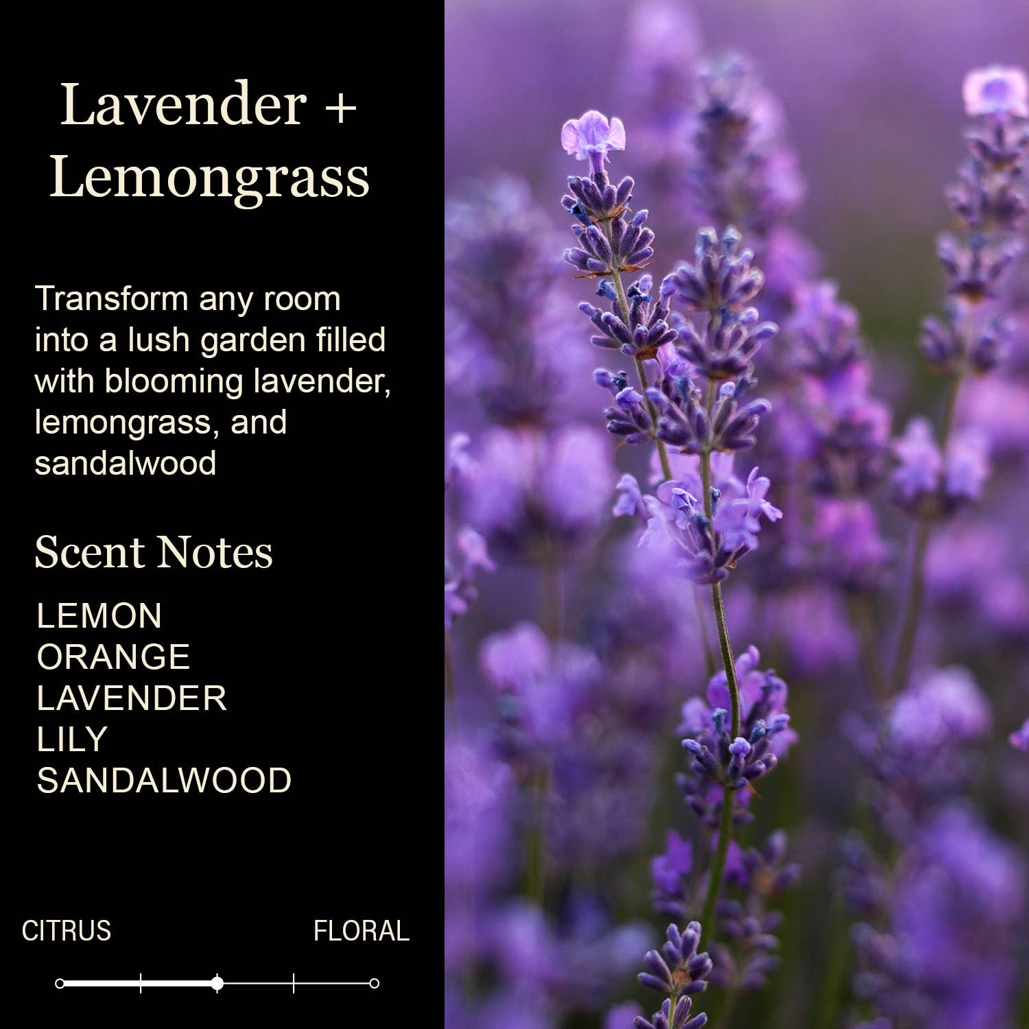 New Home New Adventures New Memories Soy Candle