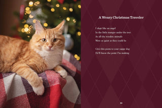 Cancel Your Plans: Cozy Poems by Cats