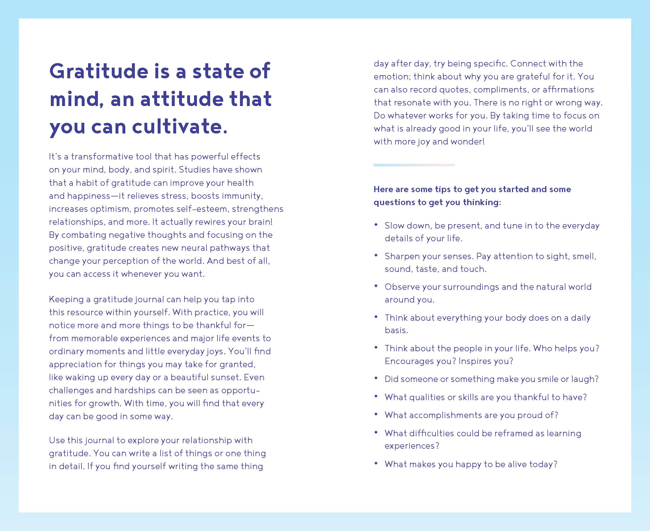 Gratitude One Line a Day