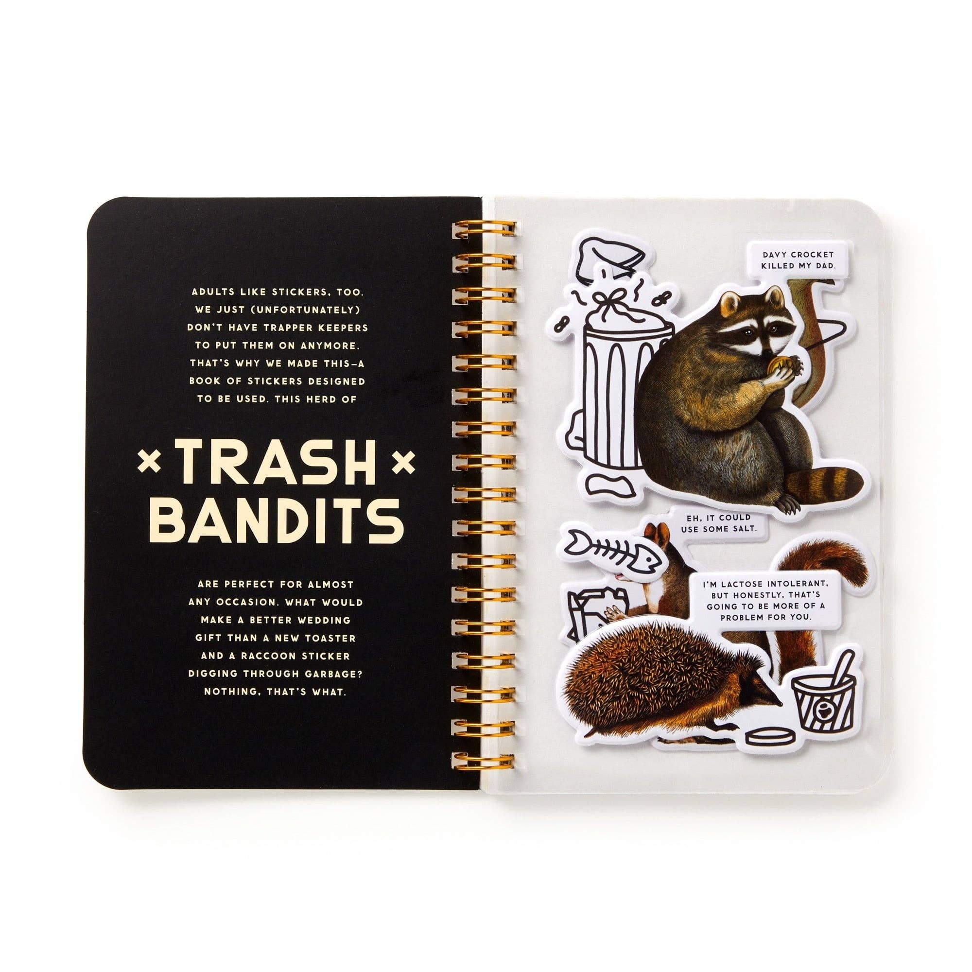 Trash Bandits Sticker Book by Brass Monkey