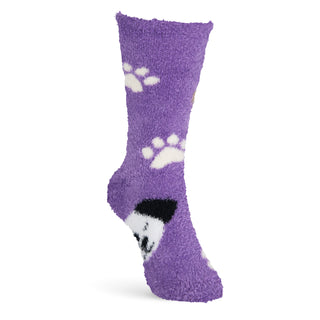 Purple Cozy Dog Socks