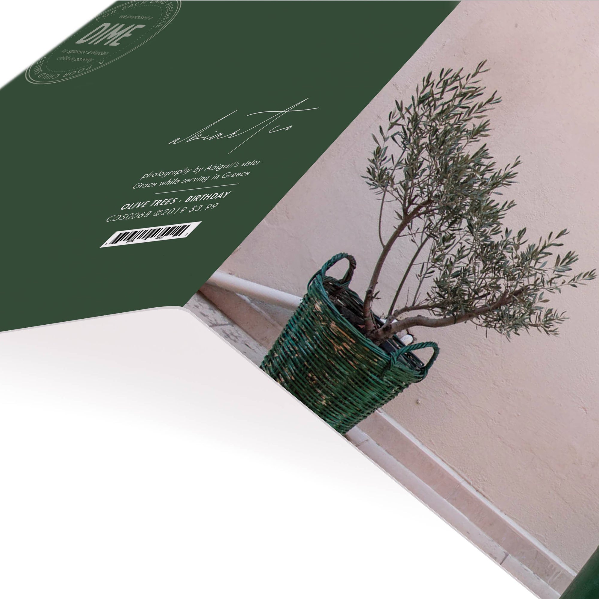 Olive Trees Birthday Card