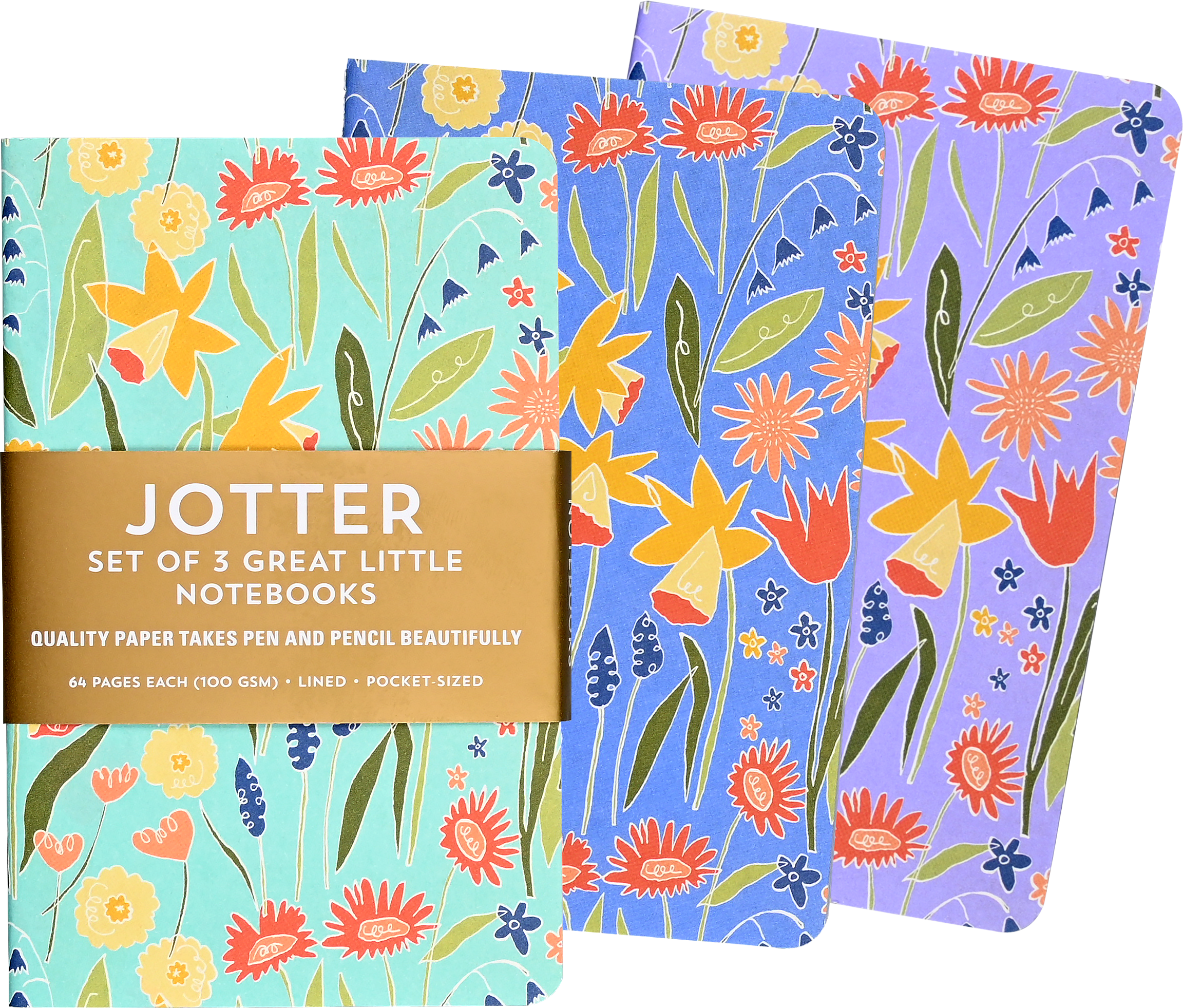 Jotter Mini Notebooks: Daffodils