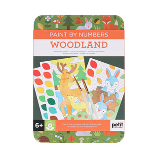 Woodland Paint-by-Numbers Kit for Kids