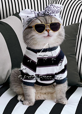 Birthday Greeting Card Bandana Cat