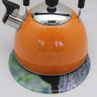 Black Bear Silicone Jar Opener