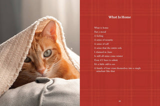 Cancel Your Plans: Cozy Poems by Cats