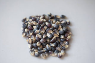 2lb Bag of Midnight Blue Popcorn